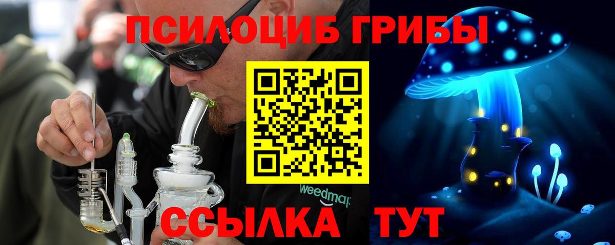 Псилоцибиновые грибы Psilocybe  Псилоцибиновые грибы прущие грибы  Вход с VPN  Оренбург 